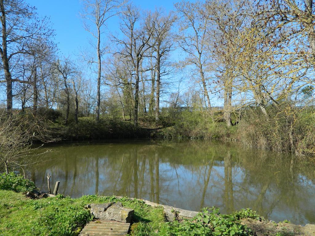 Meubles De Tourisme La Reserve Saint-Pierre-les-Bois 외부 사진